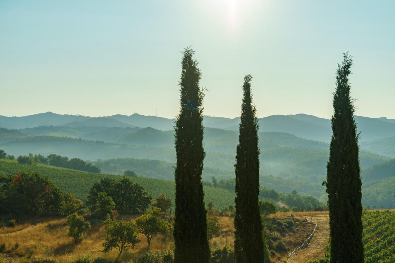 הוילה San Sano Celle Di Lecchi Nel Chianti מראה חיצוני תמונה