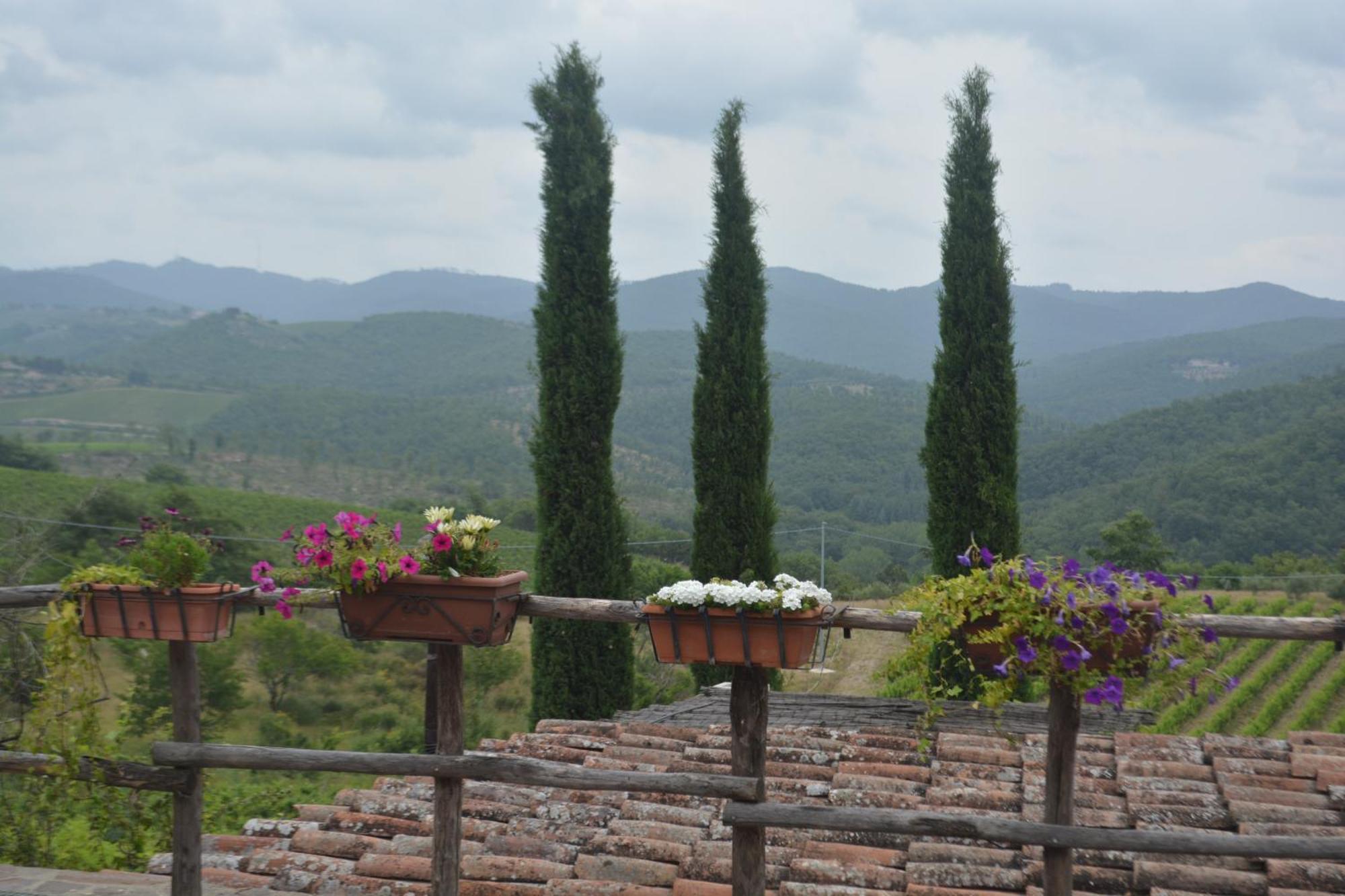 הוילה San Sano Celle Di Lecchi Nel Chianti מראה חיצוני תמונה